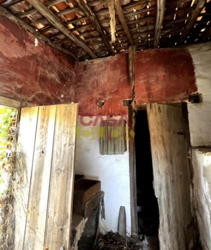 Moradia Devoluta T3 Venda em Torres Novas (São Pedro), Lapas e Ribeira Branca,Torres Novas