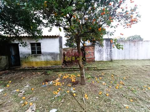 Moradia T2 Venda em São João Baptista,Entroncamento