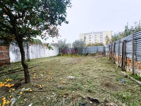 Moradia T2 Venda em São João Baptista,Entroncamento