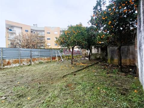 Moradia T2 Venda em São João Baptista,Entroncamento