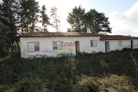 Moradia T3 Venda em Olaia e Paço,Torres Novas