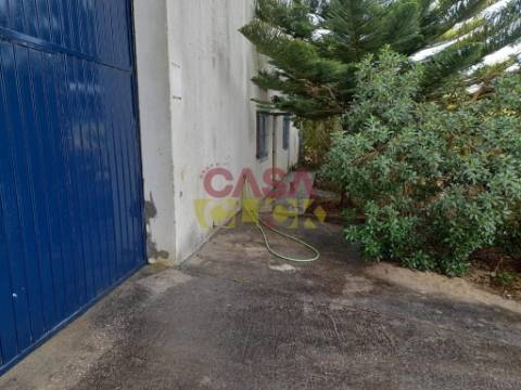 Armazém  Venda em Amiais de Baixo,Santarém