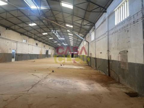 Armazém  Venda em Amiais de Baixo,Santarém