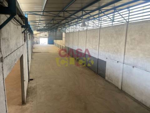 Armazém  Venda em Amiais de Baixo,Santarém