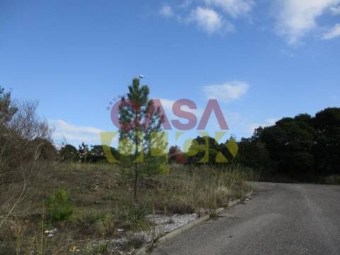 Loteamento  Venda em Abrantes (São Vicente e São João) e Alferrarede,Abrantes