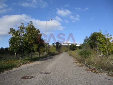 Loteamento  Venda em Abrantes (São Vicente e São João) e Alferrarede,Abrantes