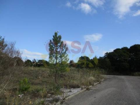 Loteamento  Venda em Abrantes (São Vicente e São João) e Alferrarede,Abrantes