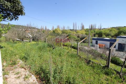 Moradia T3+2 Venda em Zibreira,Torres Novas