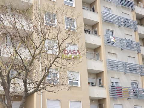 Apartamento T3 Venda em São João Baptista,Entroncamento