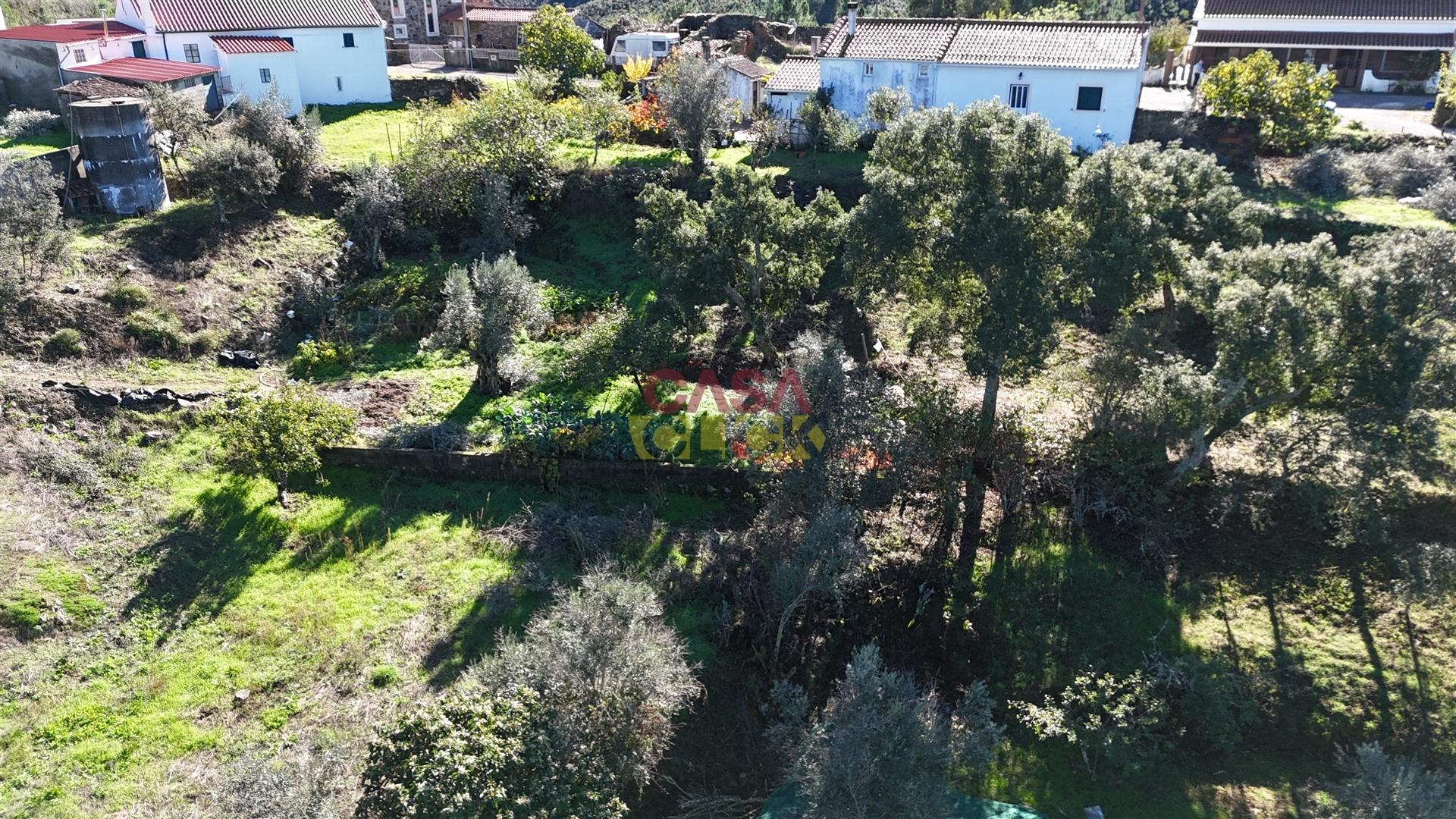 Terreno Misto T3 Venda em Carregueira,Chamusca