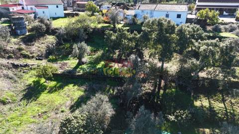 Terreno Misto T3 Venda em Carregueira,Chamusca