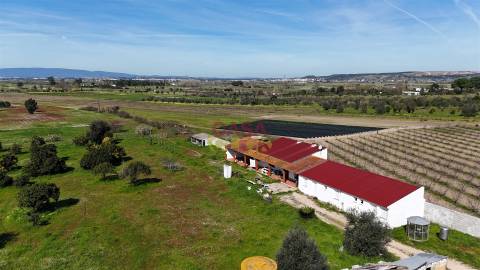 Terreno Misto T3 Venda em Carregueira,Chamusca