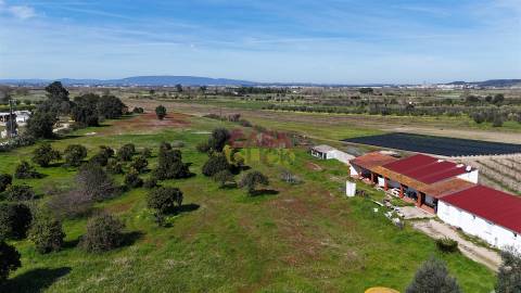 Terreno Misto T3 Venda em Carregueira,Chamusca