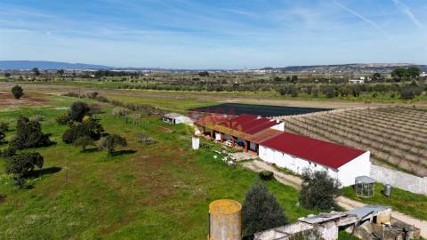 Terreno Misto T3 Venda em Carregueira,Chamusca