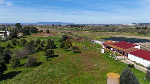 Terreno Misto T3 Venda em Carregueira,Chamusca