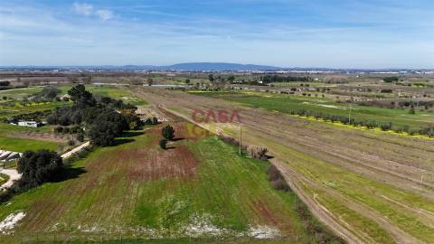Terreno Misto T3 Venda em Carregueira,Chamusca
