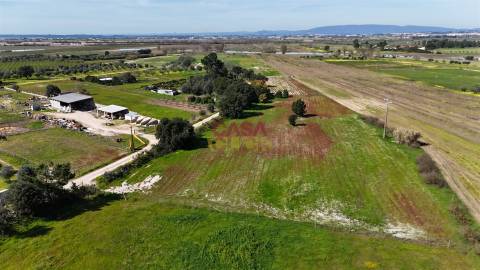 Terreno Misto T3 Venda em Carregueira,Chamusca