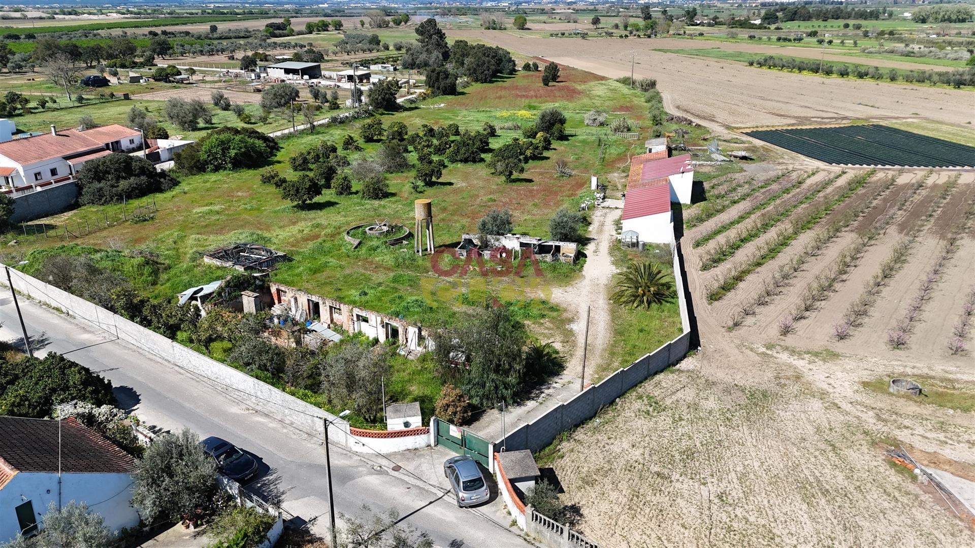 Terreno Misto T3 Venda em Carregueira,Chamusca