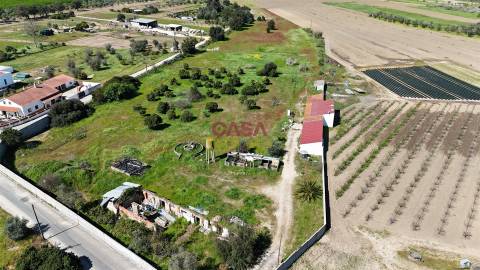 Terreno Misto T3 Venda em Carregueira,Chamusca