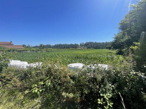 Terreno rústico com 6100m2, inserido em zona residencial