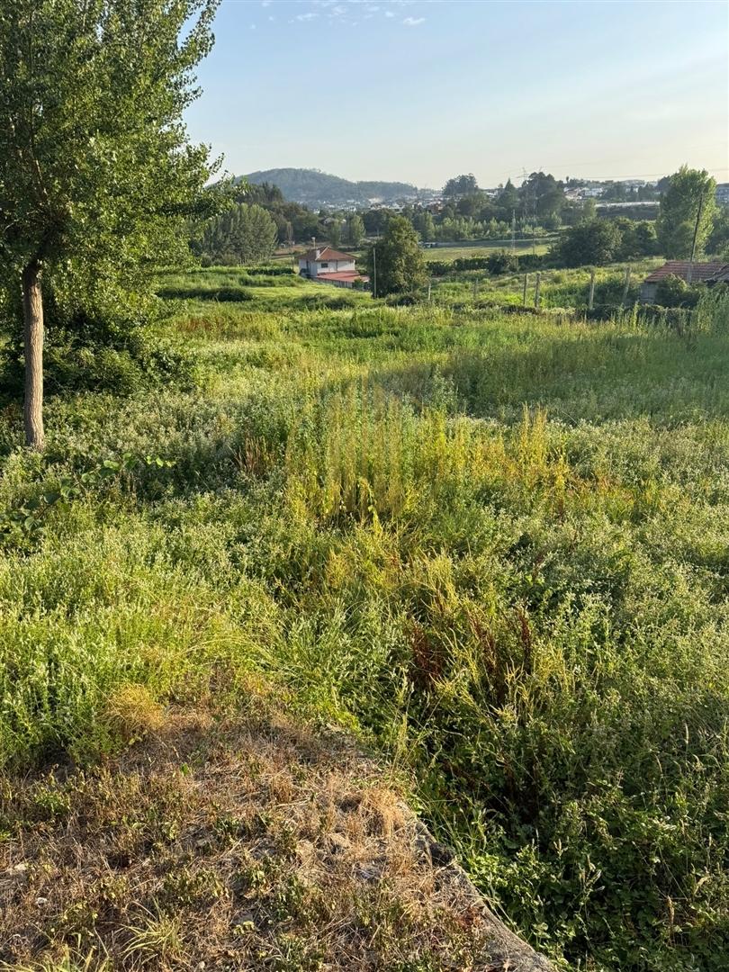Lote de Terreno  Venda em Airão Santa Maria, Airão São João e Vermil,Guimarães