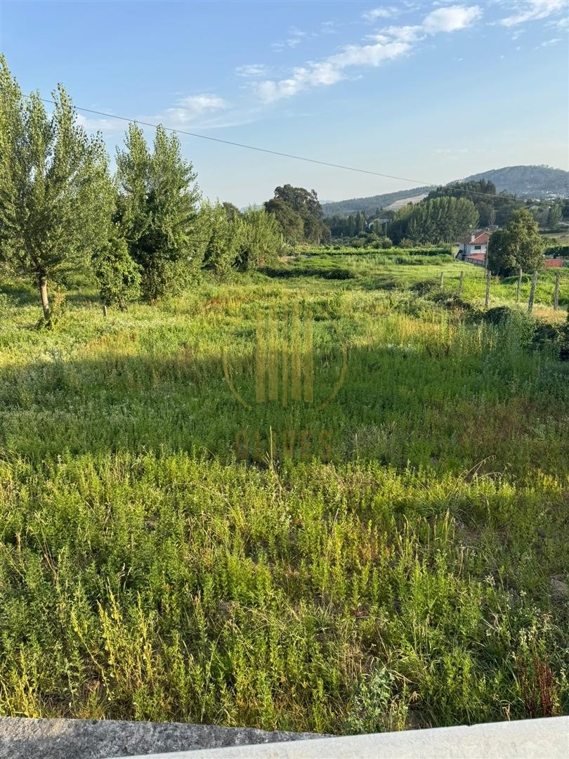 Lote de Terreno  Venda em Airão Santa Maria, Airão São João e Vermil,Guimarães