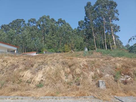 Lote de Terreno  Venda em Airão Santa Maria, Airão São João e Vermil,Guimarães