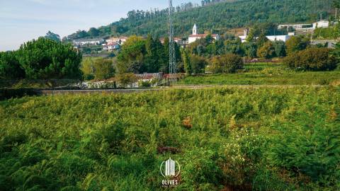 Lote de Terreno  Venda em Airão Santa Maria, Airão São João e Vermil,Guimarães