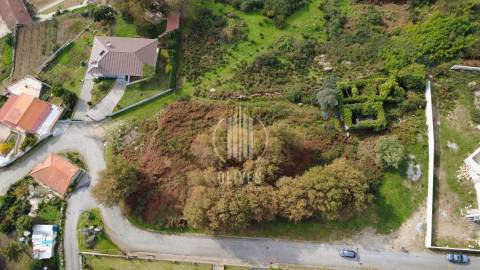 Lote de Terreno  Venda em Airão Santa Maria, Airão São João e Vermil,Guimarães