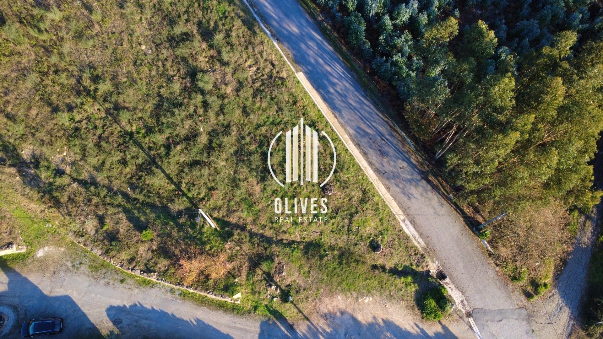 Lote de Terreno  Venda em Airão Santa Maria, Airão São João e Vermil,Guimarães