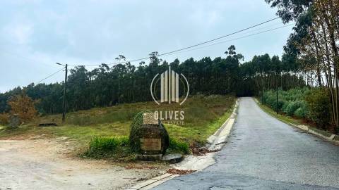Lote de Terreno  Venda em Airão Santa Maria, Airão São João e Vermil,Guimarães
