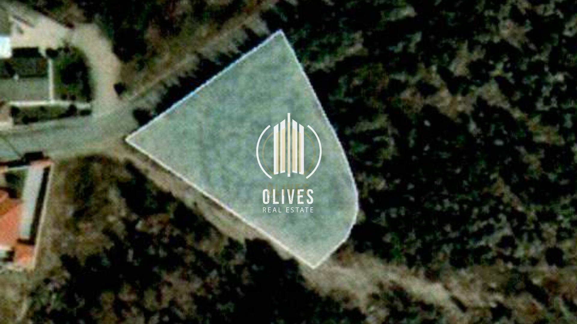 Lote de Terreno  Venda em Airão Santa Maria, Airão São João e Vermil,Guimarães