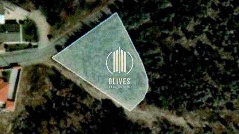 Lote de Terreno  Venda em Airão Santa Maria, Airão São João e Vermil,Guimarães