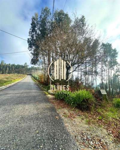 Lote de Terreno  Venda em Airão Santa Maria, Airão São João e Vermil,Guimarães