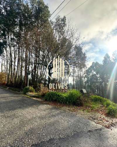 Lote de Terreno  Venda em Airão Santa Maria, Airão São João e Vermil,Guimarães