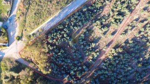 Lote de Terreno  Venda em Airão Santa Maria, Airão São João e Vermil,Guimarães