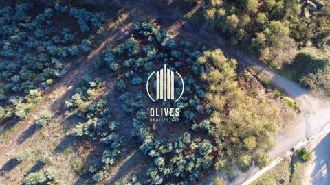 Lote de Terreno  Venda em Airão Santa Maria, Airão São João e Vermil,Guimarães