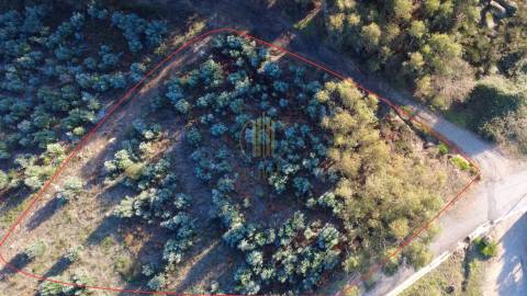 Lote de Terreno  Venda em Airão Santa Maria, Airão São João e Vermil,Guimarães