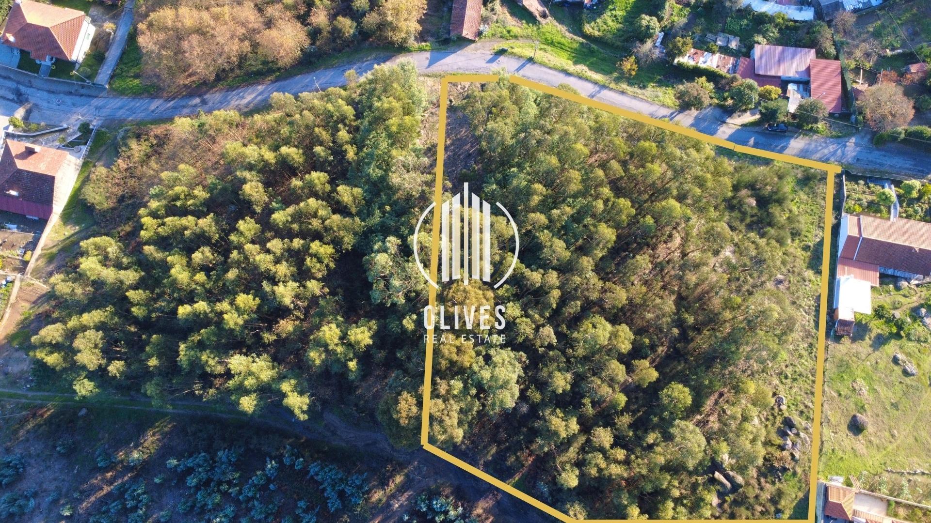 Lote de Terreno  Venda em Airão Santa Maria, Airão São João e Vermil,Guimarães