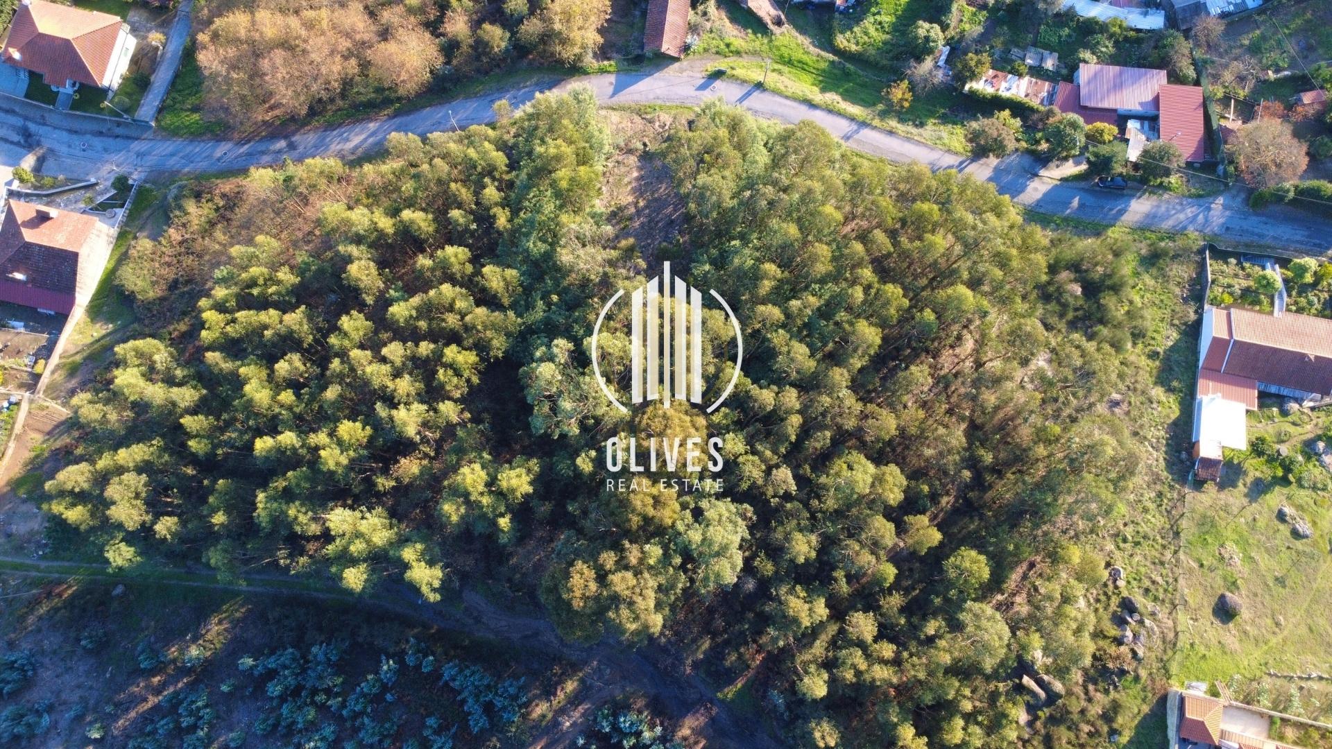 Lote de Terreno  Venda em Airão Santa Maria, Airão São João e Vermil,Guimarães