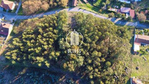 Lote de Terreno  Venda em Airão Santa Maria, Airão São João e Vermil,Guimarães