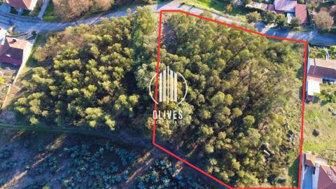 Lote de Terreno  Venda em Airão Santa Maria, Airão São João e Vermil,Guimarães