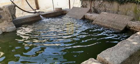 Quinta T6 Venda em Pinheiro,Guimarães