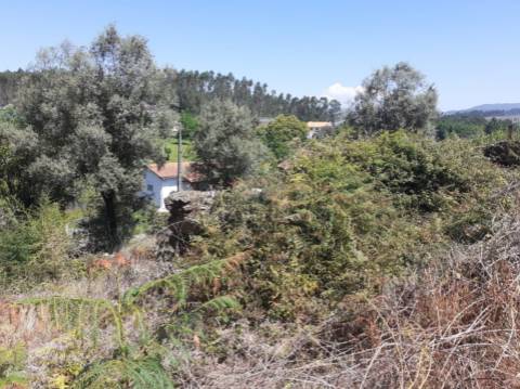 Terreno em Anais com viabilidade cosntrutiva