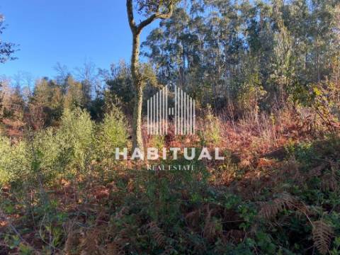 Terreno com ruína em Vilar de Mouros- Caminha .