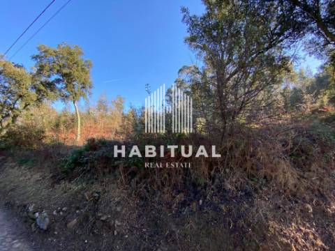 Terreno com ruína em Vilar de Mouros- Caminha .