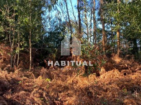 Terreno com ruína em Vilar de Mouros- Caminha .