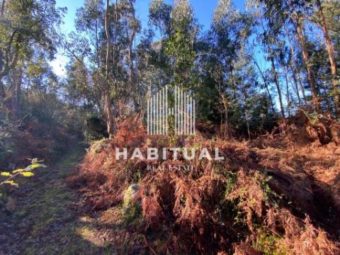 Terreno com ruína em Vilar de Mouros- Caminha .