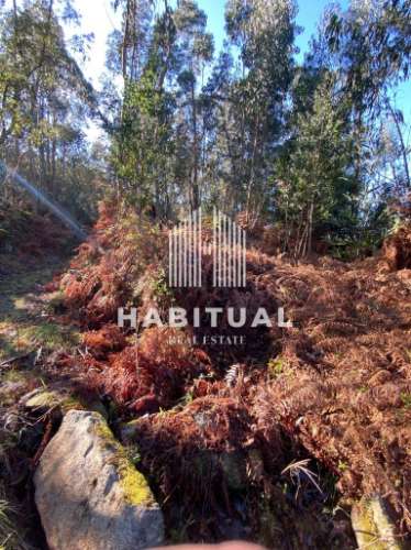 Terreno com ruína em Vilar de Mouros- Caminha .