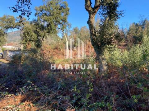 Terreno com ruína em Vilar de Mouros- Caminha .